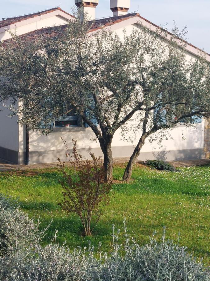 Apartment Kortine Sečovlje Eksteriør billede