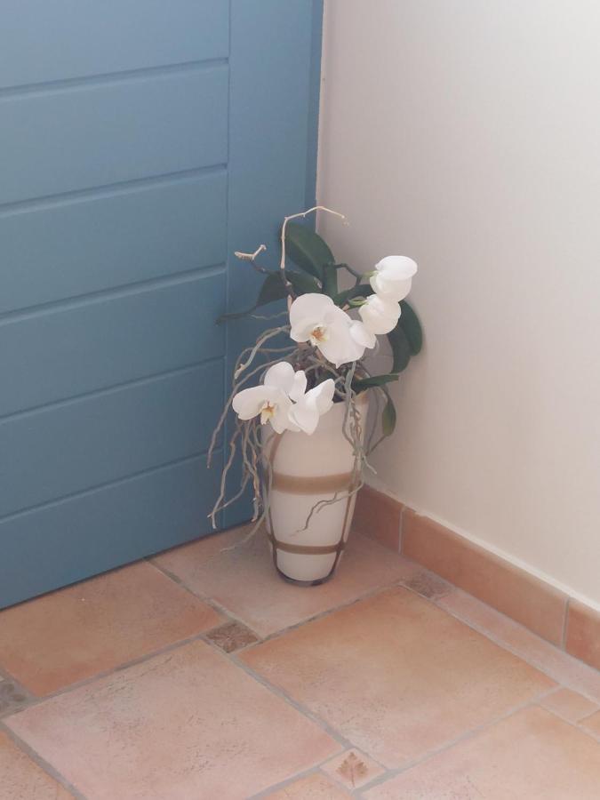 Apartment Kortine Sečovlje Eksteriør billede